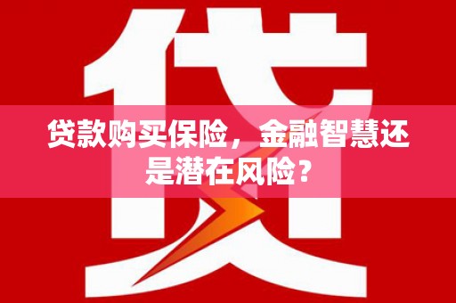桐庐贷款购买保险，金融智慧还是潜在风险？