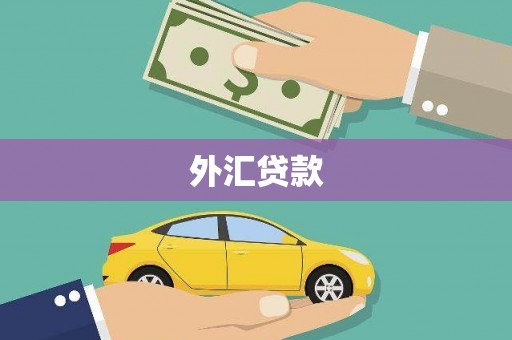桐庐外汇贷款