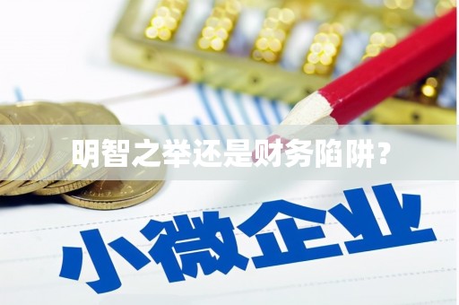 桐庐明智之举还是财务陷阱？