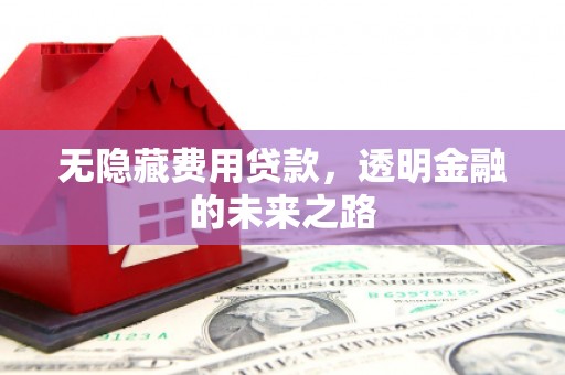 桐庐无隐藏费用贷款，透明金融的未来之路