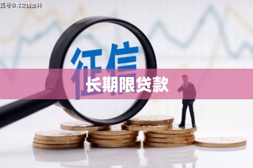 桐庐长期限贷款