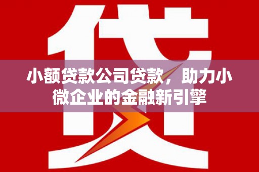 桐庐小额贷款公司贷款，助力小微企业的金融新引擎