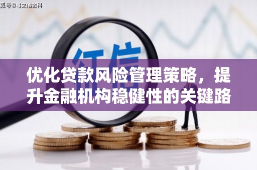 桐庐优化贷款风险管理策略，提升金融机构稳健性的关键路径