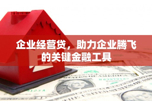 桐庐企业经营贷，助力企业腾飞的关键金融工具