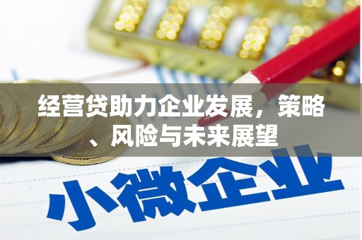 桐庐经营贷助力企业发展，策略、风险与未来展望