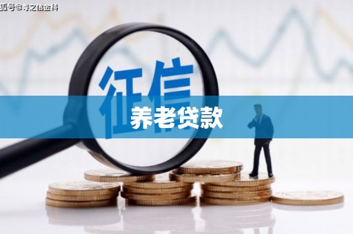 桐庐养老贷款