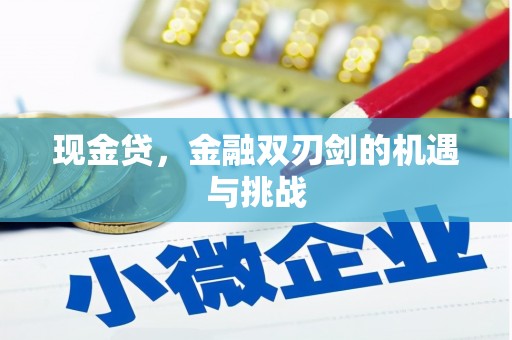 桐庐现金贷，金融双刃剑的机遇与挑战
