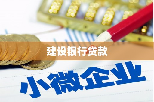 桐庐建设银行贷款