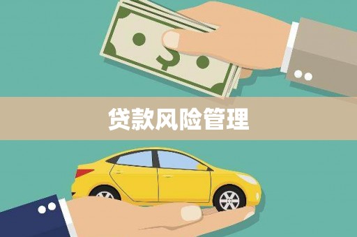 桐庐贷款风险管理