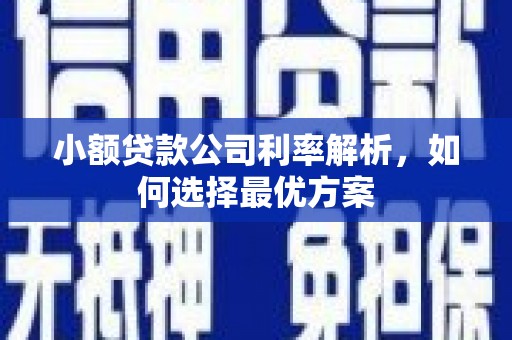 桐庐小额贷款公司利率解析，如何选择最优方案