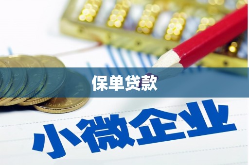 桐庐保单贷款