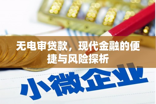 桐庐无电审贷款，现代金融的便捷与风险探析