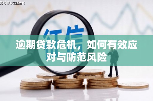 桐庐逾期贷款危机，如何有效应对与防范风险