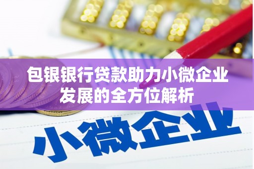 桐庐包银银行贷款助力小微企业发展的全方位解析