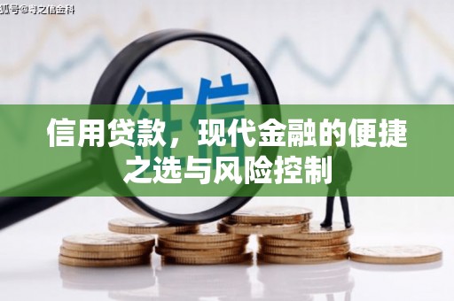 桐庐信用贷款，现代金融的便捷之选与风险控制