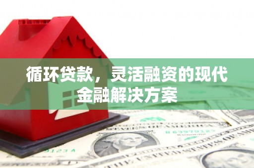 桐庐循环贷款，灵活融资的现代金融解决方案