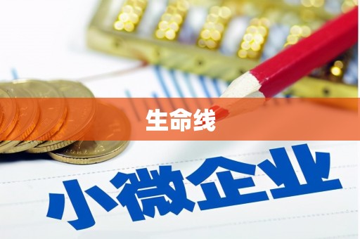 桐庐生命线