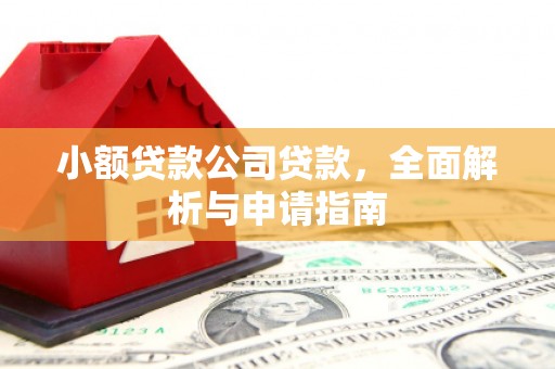 桐庐小额贷款公司贷款，全面解析与申请指南