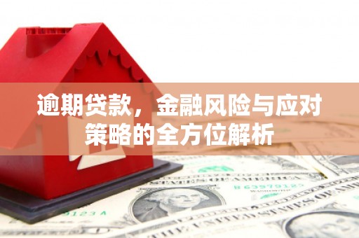 桐庐逾期贷款，金融风险与应对策略的全方位解析