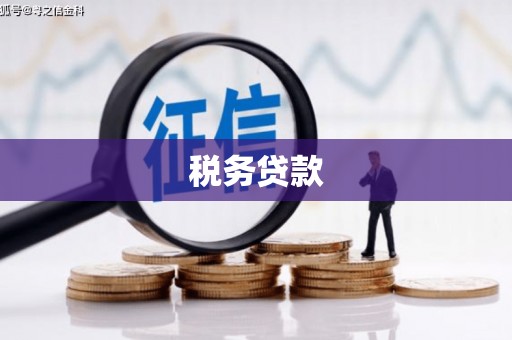 桐庐税务贷款