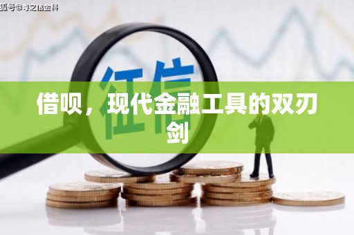 桐庐借呗，现代金融工具的双刃剑