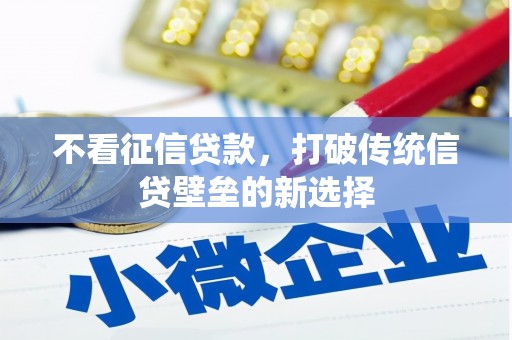 桐庐不看征信贷款，打破传统信贷壁垒的新选择
