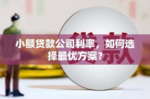 桐庐小额贷款公司利率，如何选择最优方案？