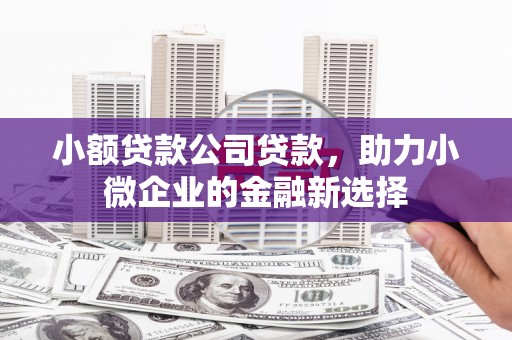 桐庐小额贷款公司贷款，助力小微企业的金融新选择