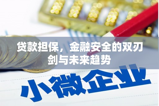 桐庐贷款担保，金融安全的双刃剑与未来趋势