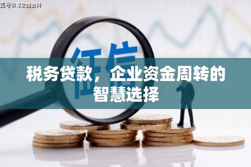 桐庐税务贷款，企业资金周转的智慧选择