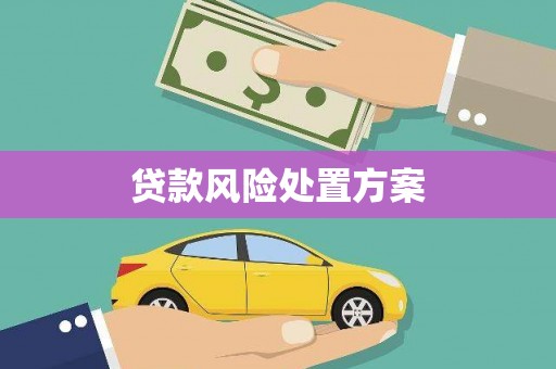 桐庐贷款风险处置方案