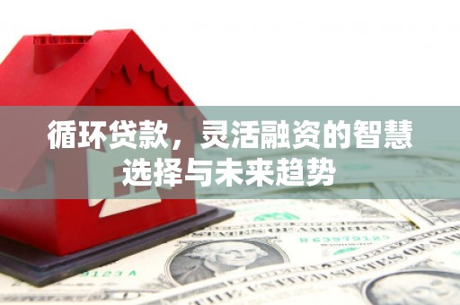 桐庐循环贷款，灵活融资的智慧选择与未来趋势