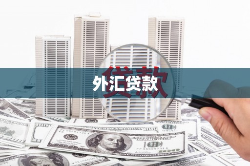 桐庐外汇贷款