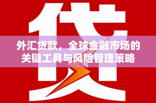 桐庐外汇贷款，全球金融市场的关键工具与风险管理策略