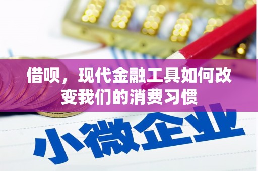 桐庐借呗，现代金融工具如何改变我们的消费习惯
