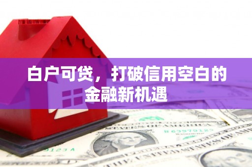 桐庐白户可贷，打破信用空白的金融新机遇