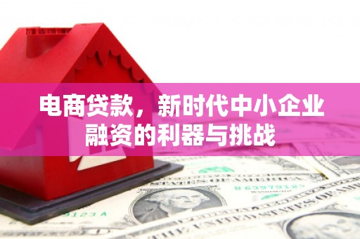 桐庐电商贷款，新时代中小企业融资的利器与挑战