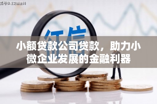 桐庐小额贷款公司贷款，助力小微企业发展的金融利器