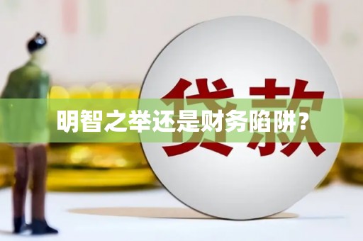 桐庐明智之举还是财务陷阱？