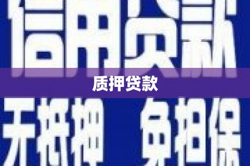 桐庐质押贷款