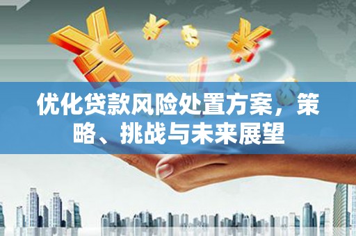 桐庐优化贷款风险处置方案，策略、挑战与未来展望