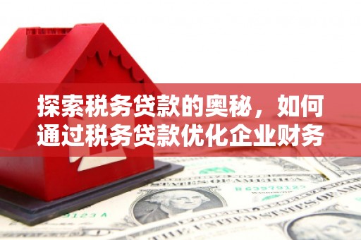 桐庐探索税务贷款的奥秘，如何通过税务贷款优化企业财务