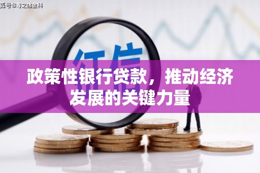 桐庐政策性银行贷款，推动经济发展的关键力量