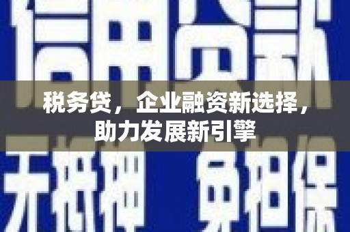 桐庐税务贷，企业融资新选择，助力发展新引擎