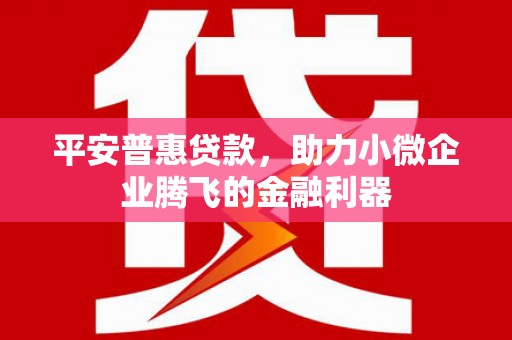 桐庐平安普惠贷款，助力小微企业腾飞的金融利器