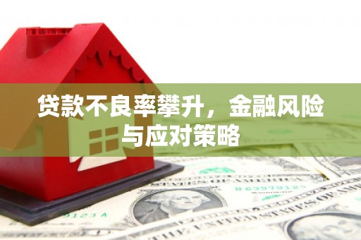 桐庐贷款不良率攀升，金融风险与应对策略