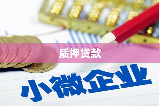 桐庐质押贷款