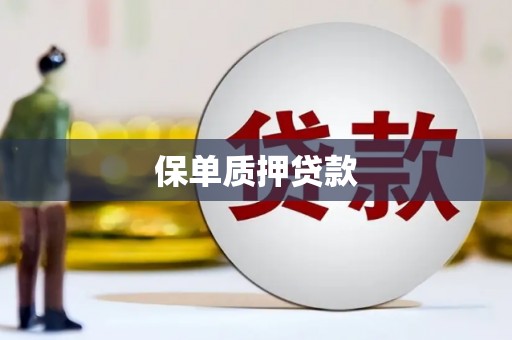 桐庐保单质押贷款