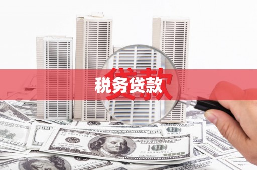 桐庐税务贷款