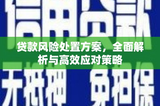 桐庐贷款风险处置方案，全面解析与高效应对策略